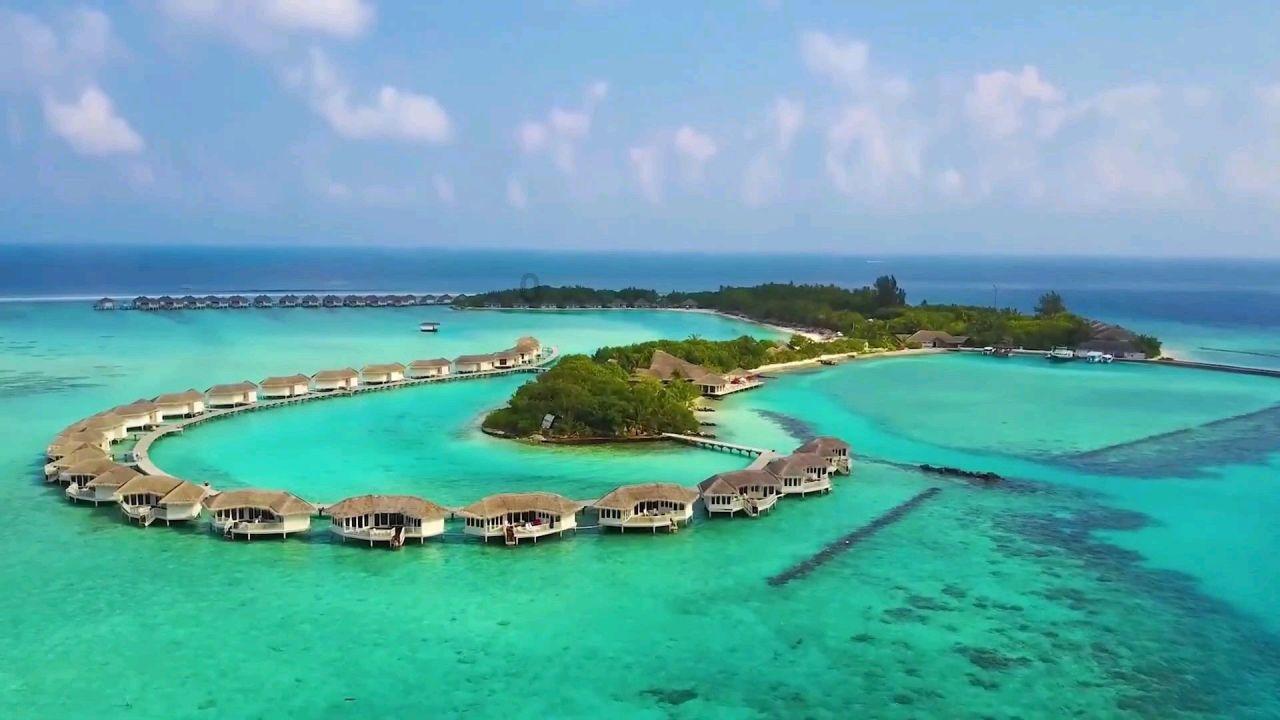 冷知识分享平台如何评价特种部队:眼镜蛇的崛起?本片有什么亮点吗?,揭秘你不知道的!